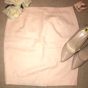 Blush Pencil Skirt